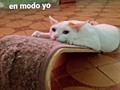 Ya no se que hacer, que inventarme! Cómo Llegarles!  Y todo tristemente se reduce a dinero!!  ☹️