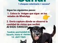 Actividad pro Fondo mudanza de la manada @fpatitasfelices  🙏 Valencia, gana un chequeo veterinario + vacuna para tu máscota,.(perro o gato). Solo difundiendo 👁️👁️ Recuerda, tienes oportunidad de participar enviando tu capture, antes de las 10pm del viernes 14 Abril.  📞 Reserva tu cita al  0426-5400225 Disponemos solo de 5 sextuple y 3 triple felina  🌎 Naguanagua Edo Carabobo