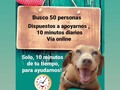 No solo con dinero se puede apoyar!!!!!  Donando 10 minutos de tu tiempo al.dia, también puedes hacerlo!! 💪 . Te animas a donar 10 minutos de tu tiempo,.para apoyarnos vía online???