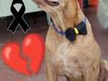 Dioooooooooooos!!!!!!  Cómo dueles mi viejito amoroso 💔💔💔💔💔💔💔💔💔💔💔💔💔💔💔💔💔💔💔💔💔💔💔💔💔💔💔💔💔💔💔💔💔💔💔💔💔💔💔💔💔💔💔💔💔💔💔💔💔💔💔💔💔💔💔💔💔💔💔💔💔💔💔💔💔💔💔💔💔💔💔💔💔💔💔💔💔💔💔💔💔💔💔💔💔💔💔💔 Llora mi corazón!
