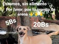 Ayer solo 5 personas. Se animaron a colaborar! ☹️ Pero se que hoy, llegaremos a muchos más, y se animarán a ayudar!! 🙏 Juntos haríamos tan pero tan fácil, esto que hoy nos cuesta tanto!!!  Ayúdanos a llenar pancitas, no hace falta donar millones, solo hace falta que todos oinagan un granito de arena. 🙏🙏🙏🙏 . Banesco RIF J 40238966-3 04265400225 Fundación Patitas Felices Paypal fpatitasfelices@gmail.com Patreon enlace en el perfil Zelle datos al direct.  Confiamos en ti🙏🙏🙏