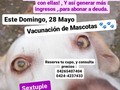 De una u otra forma, lograre pagar la deuda que tanto estrés me genera!!  Me ayudan a enviar esta publicación a tus amigos que tienen mascotas y vivan en Valencia? 🙏🙏🙏🙏🙏🙏 Este domingo, 28 Mayo, estaré con el apoyo de una vet amiga, colocando vacunas previo chequeo físico, a 8 mascoticas, quizás no al.mejor precio, pero si a uno asequible, y lo mejor de todo que estarás a través de la vacunacion de tu mascotica, ayudándonos a abonar a deuda ❤️ . Dónde será? En La Av Bolivar Vieja de Naguanagua.  Domingo 28 de mayo . Puedes reservar tu cupo, y obtener información, vía WhatsApp 04265407404 04244237433 . Gracias por apoyarme con difusión de esta publicación 🐾🐾