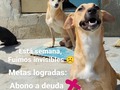 Seguimos para adelante, parar jamás será una opción.