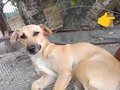 Un proveedor que nos tuvo infinita paciencia, y nos ayudó muchísimo, sobre todo en época de pandemia!, Mis nenes 🐾🐾 no pasaron hambre gracias a el,porque siempre se las arreglo para hacerme llegar lel alimento. hoy quiero terminar de pagar lo que le debo, y sentir la paz de no haberle fallado, TARDE,.si, pero haberle pagado.  🙏🙏🙏🙏🙏🙏🙏🙏🙏  Es realmente importante hacer ese abono hoy!!!! . . Por favor anímate a poner un granito de arena para empezar a SUMAR 🙏. . Hasta hoy gracias a tus aportes hemos logrado abonar $2000 en dos meses, yo veía imposible lograrlo y lo hicimos!!, Ya solo nos faltan $850 para pagar por completo las deudas que tenemos por alimento, y así poder seguir teniendo la posibilidad que vuelvan a despacharnos. . Una puerta que está cerrada y es súper importante volver a abrir 🙏🙏🙏 . Se que te animaras!! Se que hoy haremos ese abono!!  . Aquí te dejo los medio de ayuda:  . ❤️ Pago móvil: Banesco RIF J -40238966-3 04265400225 Fundación Patitas Felices ❤️ Paypal fpatitasfelices@gmail.com ❤️Zelle datos al direct ❤️ Patreon enlace en el perfil de Instagram  Gracias, gracias, gracias ❤️❤️❤️