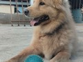 Aaron y su inseparable pelota 11 añitos