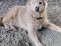 La niña mosa Siempre quiere poner el orden Clyde 12 añitos