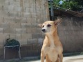 Catalina la O Mi cata cata Prefieres siempre estar sola  A veces me preguntó si eres felíz, ojalá pudieras contestarme.  8añitos.