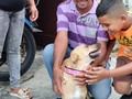 Después de meeeeeses de espera, de ver irse a otros hermanitos de manada, Ayer llevamos a nuestra hermosa Vainilla a lo que esperamos sea su nuevo hogar ( está en periodo de prueba), hasta ahora monitoreando y todo va bien gracias a Dios, esperemos que continúe así 🙏 ella merece tener una familia donde sea amada y bien cuidada. Te extrañamos mucho vainillita, pero estamos felices porque el cariño, la atención, el amor,.será solo para ti.  La mejor de las suerte para ti!,. Te conseguimos una familia mi chiquita, no te abandonamos.  Es una ventaja tenerte cerca de la casa! Te visitaremos