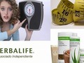 Herbalife es una empresa que lidera la industria del bienestar, ha sido reconocida por sus grandes avances y logros en la ciencia de la nutrición. Ofrece una alta calidad en sus productos y se preocupa por dar la orientación debida en el consumo de éstos a sus miles de sus consumidores.  Algunas de las fórmulas más prestigiosas de los productos Herbalife son las Merengadas(*), una mezcla nutricional que al reconstituirse con agua proporciona un delicioso y completo alimento dirigido a reforzar el cuerpo dándole los nutrientes y la energía necesaria para desenvolverse durante la jornada diaria sin recurrir al consumo de alimentos chatarra.  La preparación es fácil y rápida, en breves momentos se puede contar con una comida completa, nutritiva y equilibrada lo cual supone un ahorro considerable a personas que tienen muy poco tiempo para dedicarlo a preparar sus alimentos.  La principal proteína de las merengadas de Herbalife es la proteína de soya y como resultado de exhaustivas investigaciones se han agregado otros nutrientes, proteínas, vitaminas y minerales, necesarios para un rendimiento diario óptimo. No tienen ningún tipo de contraindicaciones ni efectos indeseados.  Visite Catálogo de Productos - Mezcla para Preparar Bebida Nutricional contáctanos por el +50769815836 #panama #bienestar #nutricion #herbalife #venezuela #salud