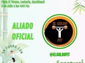 ¡ESTO SE PONE BUENO Y ME GUSTA JUNTO A NUESTROS ALIADOS DE @funvefit !🔥🔥🔥  🙋🏼‍♀️CONOCE PARTE DE NUESTROS ALIADOS Y PATROCINANTES OFICIALES:   En la #SúperClaseenformaconsanatural 🍃 junto a Team @funvefi motivo del 4to. Aniversario de Infusiones sanatural 🤗  🤩Marcas/ Servicios y emprendimientos que forman parte de nuestros aliados oficiales:  @saborfish @johannacamposfp @adridulcitos @cakesbracs  @diquechicha @estetic.chiquit  @phenzoroa @mobiliario_tipo_palet @design.jessleon @ligeramentejoss  @venezuelaenunbocado  @mdmultiserviciosglobal @makeupbuenaventura @deliciosascakes @tufisiatraucv @elgoldofit @comercialbellezasmarilyn  🍃Patrocinantes expositores saludables:   @celiciosofood_ve @kai.vzla @superkatty_2001 @canarumo_cakesandfoods @bwady_vzla @yamipp  📅 *Fecha:* Sábado 09 de Julio de 2022. 🚩Lugar: Plaza el Parque de Lecheria Edo. Anzoátegui.  ⚠️REQUISITO INDISPENSABLE PARA ASISTIR:   Muy buen humor🤭 Ropa cómoda y disposición para disfrutar una maravillosa tarde saludable al ritmo de nuestros invitados:   🧘‍♀️@gabriela_guaiquirian iniciará con pilates para el cuerpo, mente y espíritu.  💃@yacenkazumba moverá tu cuerpo para que entres en calor.  ✨Team @funvefit te llevará al máximo con Full energía y buena vibra.🕺🎉  Y para cerrar un delicioso brindis al estilo @sanatural   🎤Con la animación de la bella @anais.bermudez habrá premiaciones, degustaciónes y mucho más en este día súper especial.🤭  💃LA ENTRADA ES GRATUITA 💚  👉Si deseas ser nuestro patrocinante, aliado o deseas exponer tus productos saludables escríbeme YA! #cuposlimitados   🙋🏼‍♀️Actividad organizada y producida por: @sanatural y @funvefit @enformaconsanatural @expotendenciassaludables   #enformaconsanatural #funvefit #4aniversarioinfusionessanatural #bailenforma #saludybienestar #somosfunvefit #belleza #tendenciassaludables #sanatural #bienestar #lecheria #anzoategui #tendencias #saludable #puertolacruz #barcelona #guanta #cuerposano #zumba # #Expotendenciassaludables #vivesaludableconsanatural