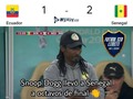 Ecuador eliminado del mundial