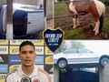 Cosas que no sabemos cómo llegaron ahí.