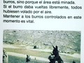 Dedicado al FA 😂😂😂
