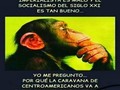 Esa es la cuestión… (en Hongo Park)