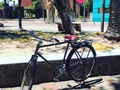 Mi bici y la Parroquia de la Santa Cruz (en Hongo Park)