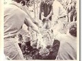 Hoy se cumplen 49 años de uno de los actos más cobardes y repugnantes llevado a cabo por los Tupamaros : el asesinato del peón rural Pascasio Báez. (en Hongo Park)