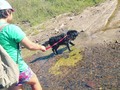 Con la barra en Paso del bote y en Laguna de las Lavanderas!  Fuimos caminando desde el Bulevar! (en Laguna de las Lavanderas)