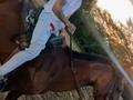 𝐕𝐢𝐯𝐢𝐞́𝐧𝐝𝐨𝐥𝐚💯🤠🐴
