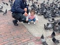 2023-06-19 15:27:46