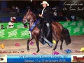 TEMPLARIO DE SAN ISIDRO (Tsunami X Amatista de San Isidro) 🏆🏆Primer Puesto Feria Equina Sahagún Grado B!! 🏆🏆 #linajedecampeones #criaderolajoyita