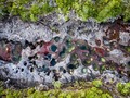 El río más bello del mundo  Sobre un lecho de rocas muy antiguas y adornado con la Macarenia clavigera, Caño Cristales en la Serranía de la Macarena es considerado el río más bello de Colombia y del Mundo.  Un destino colombiano en Fotombia, el banco premium de imágenes de Colombia.