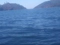 #blue #lake #titicaca #miracle #puno #peru #love #my #country #traveloften #travel #instago #instatravel #picoftheday