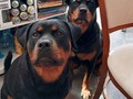 Mis pequeñas 🥰