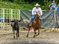 El Gocho Guaro  Del equipo de @venezuela.horse  Y de Vaqueros de Club Izcaragua  Aquí en el  @circuitomultimundial   El sábado pasado en  Club Izcaragua