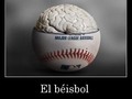 Que dices tu? ➖ ➖ ➖ ➖ ➖ ➖ #think #emotions #MLB #caminoalasgrandesligas #baseball