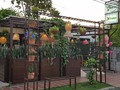 Un espacio de otro mundo en nuestra hermosa #montería 🤩💚🍃... Green Garden::: Un Jardín Verde en medio de la ciudad::: para comer delicioso y sanamente.   . .  #healthyfood #comidarapidasaludable #saludable  #greengardencol #woman #yummy #healthylover #veganfood #comidarapidamonteria #glutenfree #healthyfastfood #meatless #monteriavende #Montería #monteriaventas #veganfood #veganfoodie #vegan #anniversary #monteriavendeoficial®️ #healthyfoodshare #veganfood  #womenday #Monteríafit #comidavegetariana #veganosmontería #aguacate #vegetarianosmonteria #veganrecette #comidavegana #womanday