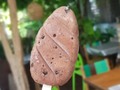 ¿Que tal una paleta vegana de oreo?🤤🍦 Elaboradas con leche de marañón y endulzadas con stevia🍃 🍦Aptas para intolerantes a la lactosa 🍦Aptas para personas con cuidados de azúcar en la sangre.  En nuestra @tiendanaturalprema #TiendaNaturalPrema   . . .  . @montesdemaria.co . .  #helado #icecream #heladovegano #heladoveggie #paletasveganas #heladosartesanales #monteriaventas #montería #monteriavende #monteria #monteriavendeoficial®️ #monteriavendeoficial® #monteríavende #monteriacordoba #heladosinleche #icecreamwithoutsugar #veganicecream #veganinspiration #montesdemaria