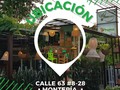 Ven y visítanos!!  Esperamos porderte servir muy pronto. Y que disfrutes de los momentos #greengardencol en medio de nuestro jardín🍃✌  Domicilios? Claro... escríbenos o llámanos 3007552612  . . .  #montería #monteria #monteriavendeoficial®️ #healthyfood #saludable #comidarápida #comidarapidasaludable #greengardencol #photooftheday #yummy #veganfood #meatless #monteriavende #Montería #hamburguesamonteria #montería #monteriaventas #veganfood #cheeselover #veganfoodie #burgerlovers #healthyfoodshare #veganfood #monteriavendeoficial® #monteriafit #Monteríafit #comidavegetariana #veganosmontería #monteríadefiesta #vegetarianosmonteria