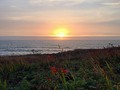 Sunset in Depoe Bay last night ♥ #Oregon #Coast #Ocean #OceanLove #PacificNorthwest #PNW #Sunset #DepoeBay #Travel #Explore #Nature #BeautifulNight #OregonCoast