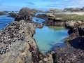 Seal Rock 🖤 . . . . .  #Oregon #Coast #Ocean #TidePools #Nature #PacificNorthwest #SealRock #PNW