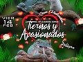 HOY HOY HOY 🎉❤️🎉Ven y celebra con nosotros el día de San Valentín para que pases una noche llena de amor con las personas que más quieres. ❤️💞💝💘💖 Tendremos descuentos en licores desde las 11:30 hasta la 1:00am  TE ESPERAMOS!  #lasuegratequiere
