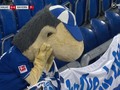 Ojalá que este histórico club se recupere y no descienda, vamos mineros si se puede 💪 s04_es #Bundesliga