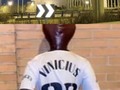 Esto apareció en Madrid