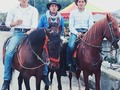 🐎🐴🐴🐎
