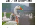 Más contenido en @postamasculina #postamasculina⠀ [All credits to their respective owners]