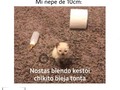 😂😂/ Más contenido en @postamasculina #postamasculina⠀ [All credits to their respective owners]