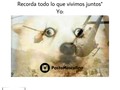 Paso 😂/ Más contenido en @postamasculina #postamasculina⠀ [All credits to their respective owners]