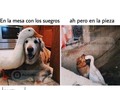 JAJAJAJAJA/ Más contenido en @postamasculina #postamasculina⠀ [All credits to their respective owners]
