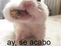 Mi mamá: Déjale un poco a tu hermano  Yo: