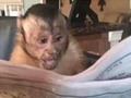-Yo: No creo en el horóscopo -El horóscopo: Prepárate para una traición -Yo: