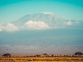 Descubriendo la majestuosidad de la vida salvaje 🧡:  1) Tarjeta postal del Kilimanjaro 🏔️ 2) Soñando despierto 💭 3) Una zebra 🦓 4) Capturando momentos únicos 📸 5) Manada de ñus 🐾 6) Jirafas espléndidas 🦒 7) Atardecer africano🌍  ______________  Discovering the majesty of wildlife 🧡: 1) Kilimanjaro postcard 🏔️ 2) Daydreaming 💭 3) A zebra 🦓 4) Capturing unique moments 📸 5) Herd of wildebeests 🐾 6) Splendid giraffes 🦒 7) African sunset 🌍  #AmboseliSafari #WildlifeAdventure #SafariLife #AmazingAmboseli #safari #naturephotography #nature #africa