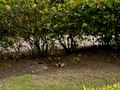 Vida de cangrejos!