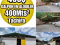 📍▪Ubicación: *galpón en alquiler en la zona industrial de paramillo* 💰▪Precio: 400$ 🏠▪︎Instagram: @raulalarcon.raulc21ed 📲▪Contacto: 04247188489 🏬▫Tipo de Inmueble: galpón  📋▫Tipo de Operación: alquiler  📏▫ Metros cuadrados: 400 M2 C 🛏▫ Habitaciones:  🚽▫Baños:  🚘▫ Puestos de Estacionamiento:  💳▫Extra: tiene cerco eléctrico, mezzanine, luz trifásica. Entra camion 📖▫ Condiciones: se piden 2 meses de depósito 6 meses de adelanto 1 mes de administración negociables  🚱▫ Servicios: agua y luz.  Más información... Raul Alarcon  *CENTURY21 EquipoDinamico* #Sancristobal #TACHIRA #sancristobaltachira #SanCristóbal #barrioobrero #tvcvzla #ferrerotamayo #cordero #tariba #Palmira #sanjuandecolon #pirineos #cucuta #barriosucre #Sancristobal #plazalosmangos