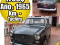 🏯▪Ubicación: tachira 💰▪Precio: 1750$ negociable  📨▪Teléfono:04147305955 👷▪Instagram:  🔩▫Marca: fiat 🚘▫Modelo:millecento  📆▫Año:1965 📟▫Km: 🔧▫Transmisión:sincrónico  📥▫Acepta Cambio: si 💳▫Extra: colección  📖▫Unico Dueño:no  🔔▫Fallas: operativo ______________________________ #tachira #barinas #maracaibo #caracas #merida #barquisimeto #falcon #trujillo #maracay #margarita #vendo #compro #tvcvzla #remato #guarico #TucarroVendelo #carro ________________________ ▪︎Ver publicaciones del mismo Modelo Pulsa Aqui 👉 #TucarroVendelomillecento 👈 ▪︎Ver publicaciones de la misma Marca Pulsa Aqui  👉 #TucarroVendelofiat 👈 ▪︎Ver mas Autos en el mismo estado 👉 #TuCarroVendelotachira 👈 _____________________