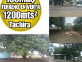 📍▪Ubicación: *terreno Av la guayana* 💰▪Precio: 150.000$ venta 500$ alquiler  🏠▪︎Instagram: @raulc21ed 📲▪Contacto: 04247188489 04147074648 🏬▫Tipo de Inmueble: Terreno R7 📋▫Tipo de Operación: venta o alquiler  📏▫ Metros cuadrados: 1200m2 🛏▫ Habitaciones:  🚽▫Baños:  🚘▫ Puestos de Estacionamiento:  💳▫Extra:  📖▫ Condiciones:  🚱▫ Servicios: agua, luz  Más información... Raul Alarcon  *CENTURY21 EquipoDinamico*