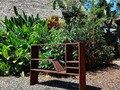 Este pieza fue diseñada como parte de la estructura que creamos insitu para el retail del Selina en la amazonia del Tena.🦠🌿💚 . . . . . . . #ecodesign #diseñosostenible #wooddesign #woodwork #woodworking #mueblesdemadera #amazonia